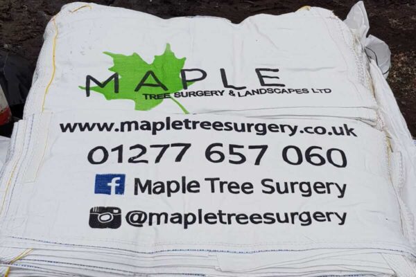 Maple Tree Surgery | TREE SURGERY | FIRE WOOD | GROUNDS MAINTENANCE | LANDSCAPING | GRITTING | WOOD CARVINGS